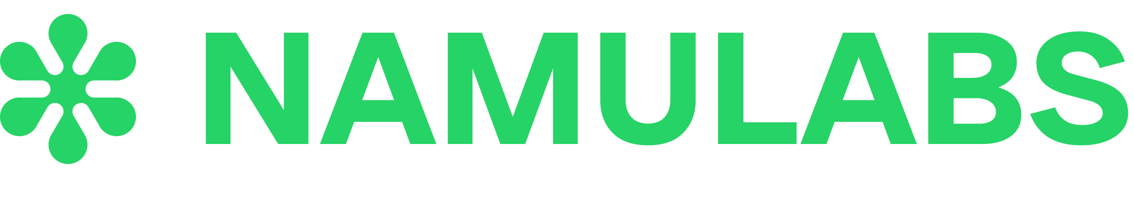 Namulabs